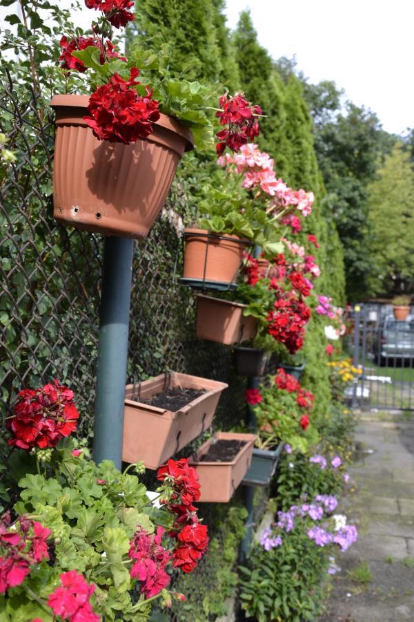 Warszawa Stare Bielany Bed & Breakfast Dış mekan fotoğraf